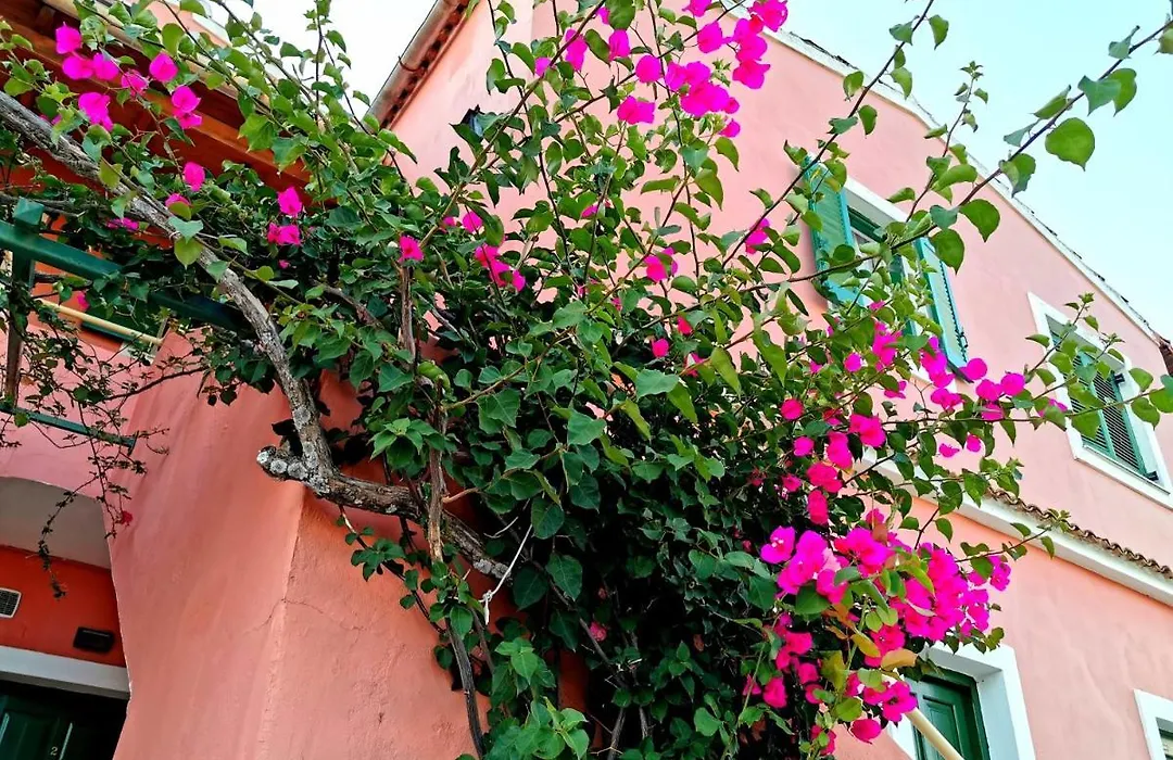 Villa Valia-1